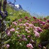 les Fétoules du hameau de Champébran